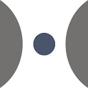 Neutrality Studies