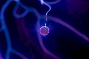Amniotic Void