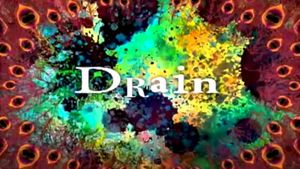 Drain (Single)