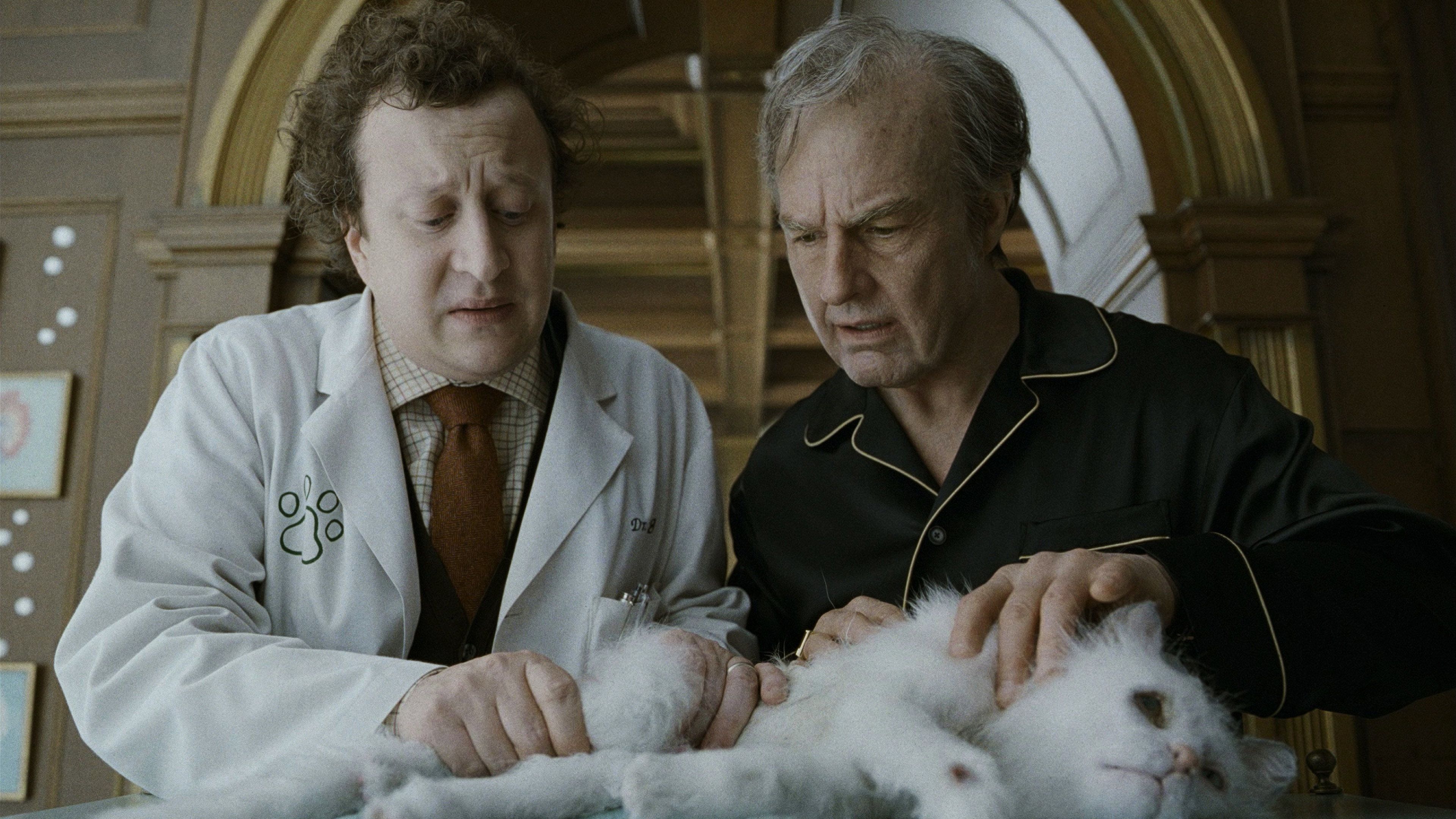backdrop