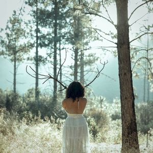 willows (Single)