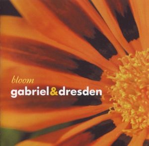Anything (Gabriel & Dresden Code 313 dub)