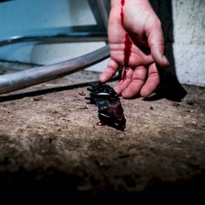 FALL ASLEEP (Single)