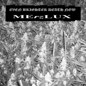 Weed Problem 3