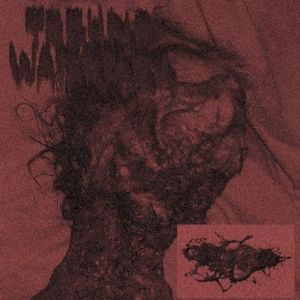 Split (EP)