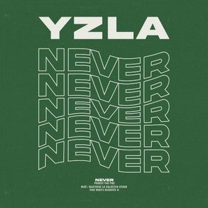Never (Single)