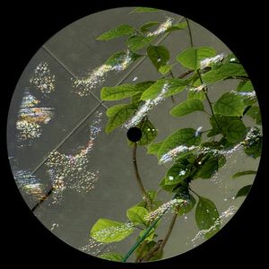 Wisdom Over Knowledge (EP)