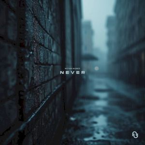 Never (Single)