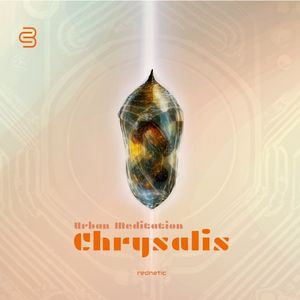 Chrysalis