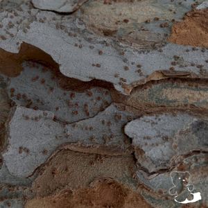 Parallel Play (EP)