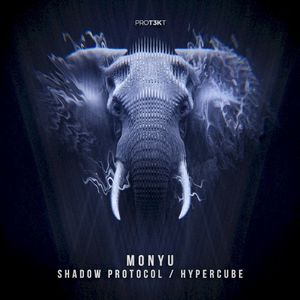 Shadow Protocol / Hypercube (Single)