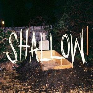 Shallow (Single)