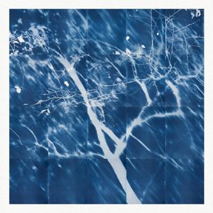 Cicadas (Single)