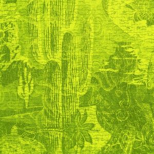 TT (Single)