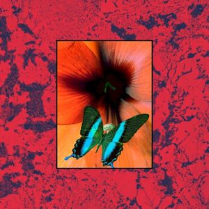 PRISM (Single)