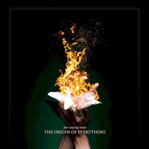 The Origin of Everything