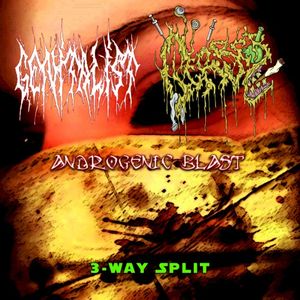 3-Way Split