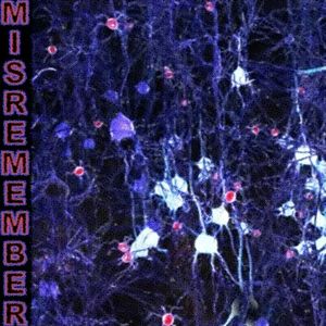 Misremember