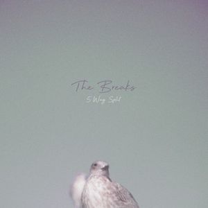 The Breaks - 5 Way Split