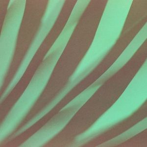Zeeman Effect (EP)