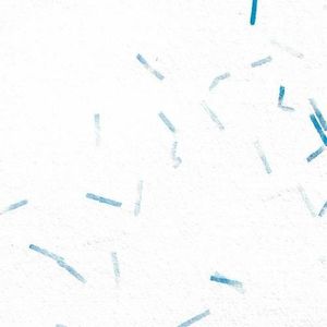 ION (EP)
