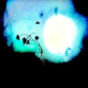 Resistor (Single)