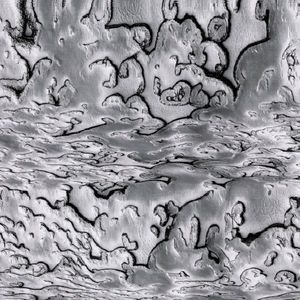 Redom Solid (Single)
