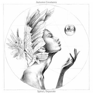 Separate (Single)