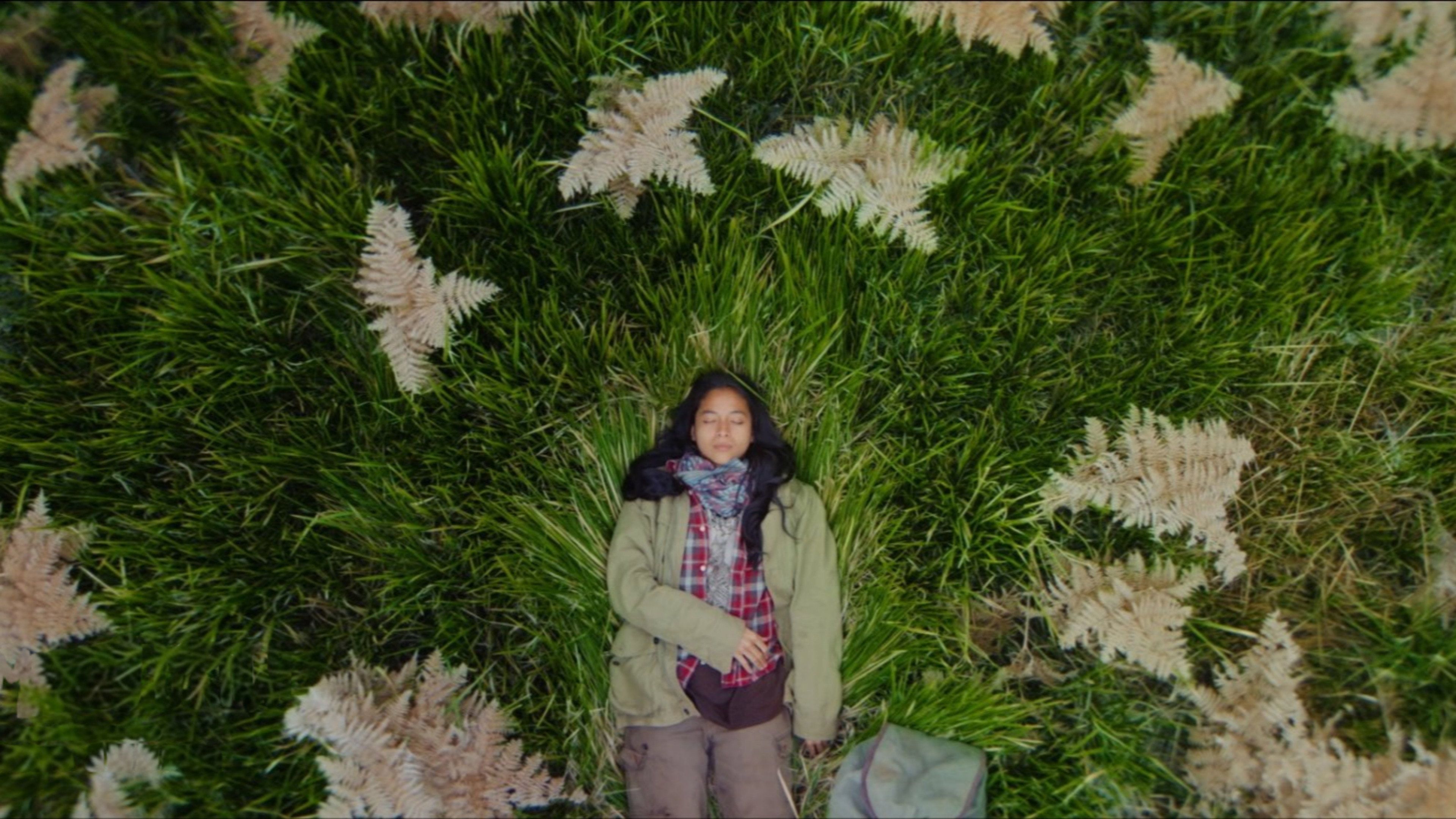 backdrop