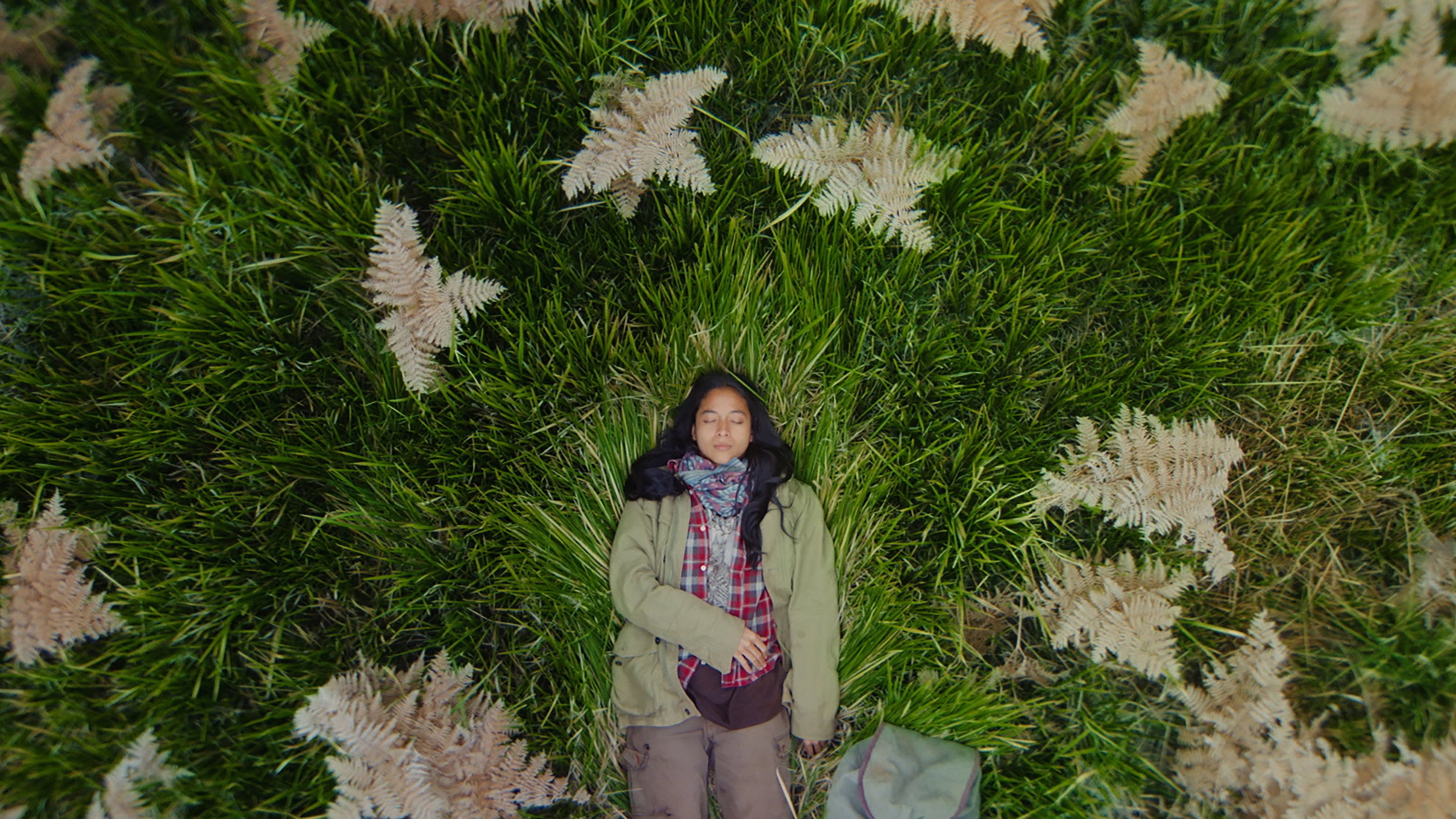 backdrop