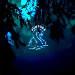 We Will Dance Again (Single)
