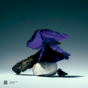 Curation Six (EP)