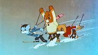 The Ski Slopes