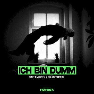 Ich bin dumm (Single)