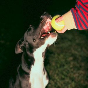 Fetch! (EP)