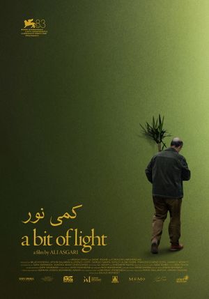 A Bit of Light