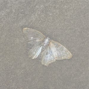 Screen Glow (Single)