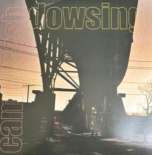 Camp Trash / Dowsing Split
