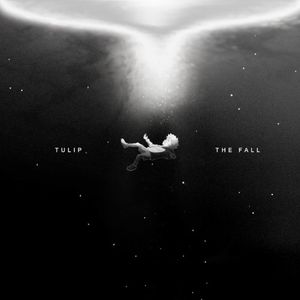 The Fall (Single)