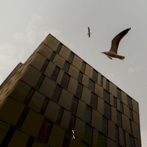 Falling Slow (Single)