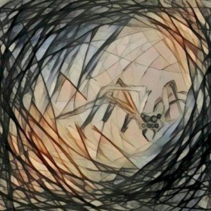 The Web (Single)