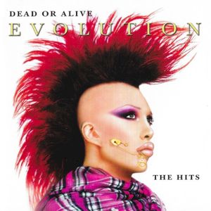 Evolution: The Hits