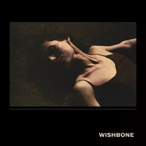 Wishbone