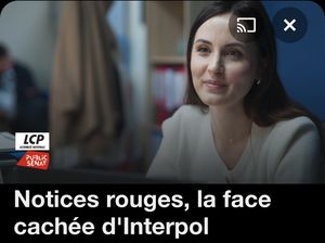 Notices rouges : la face cachée d'Interpol