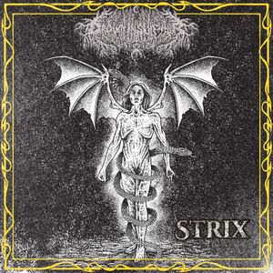 Strix (EP)