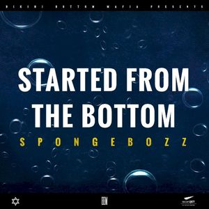 Started from the Bottom (Single)