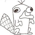 platypus067