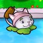 Mimite