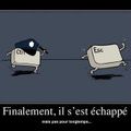 CorentinM