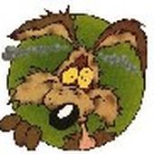 Coyotefranck